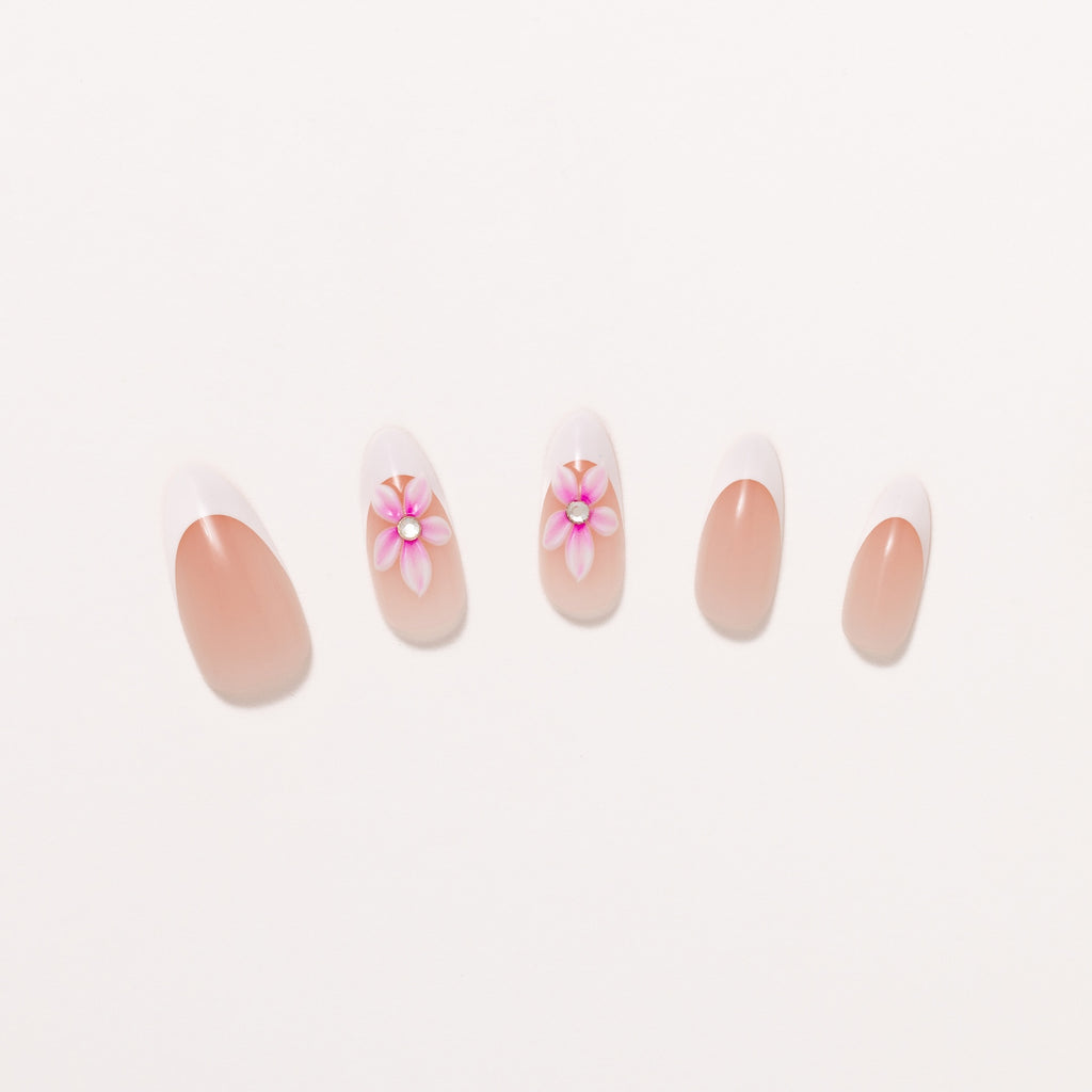 Sakura Blossom