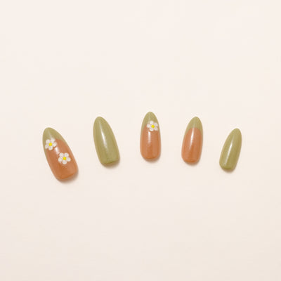 Olive & Ivy