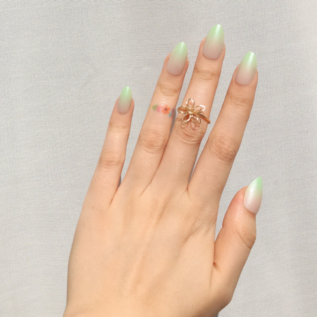 Lime Light