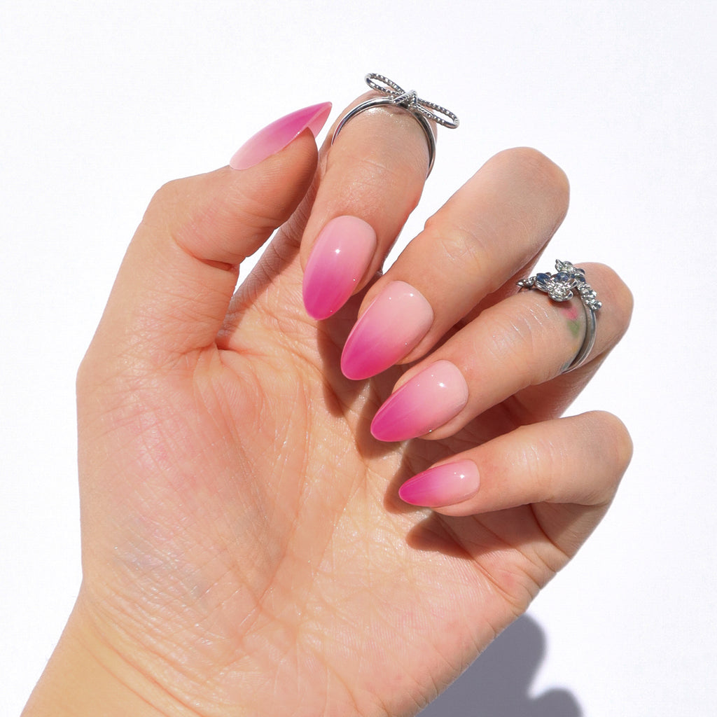 Wild Rose