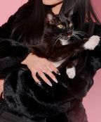 Black Cat X Jessica Vu
