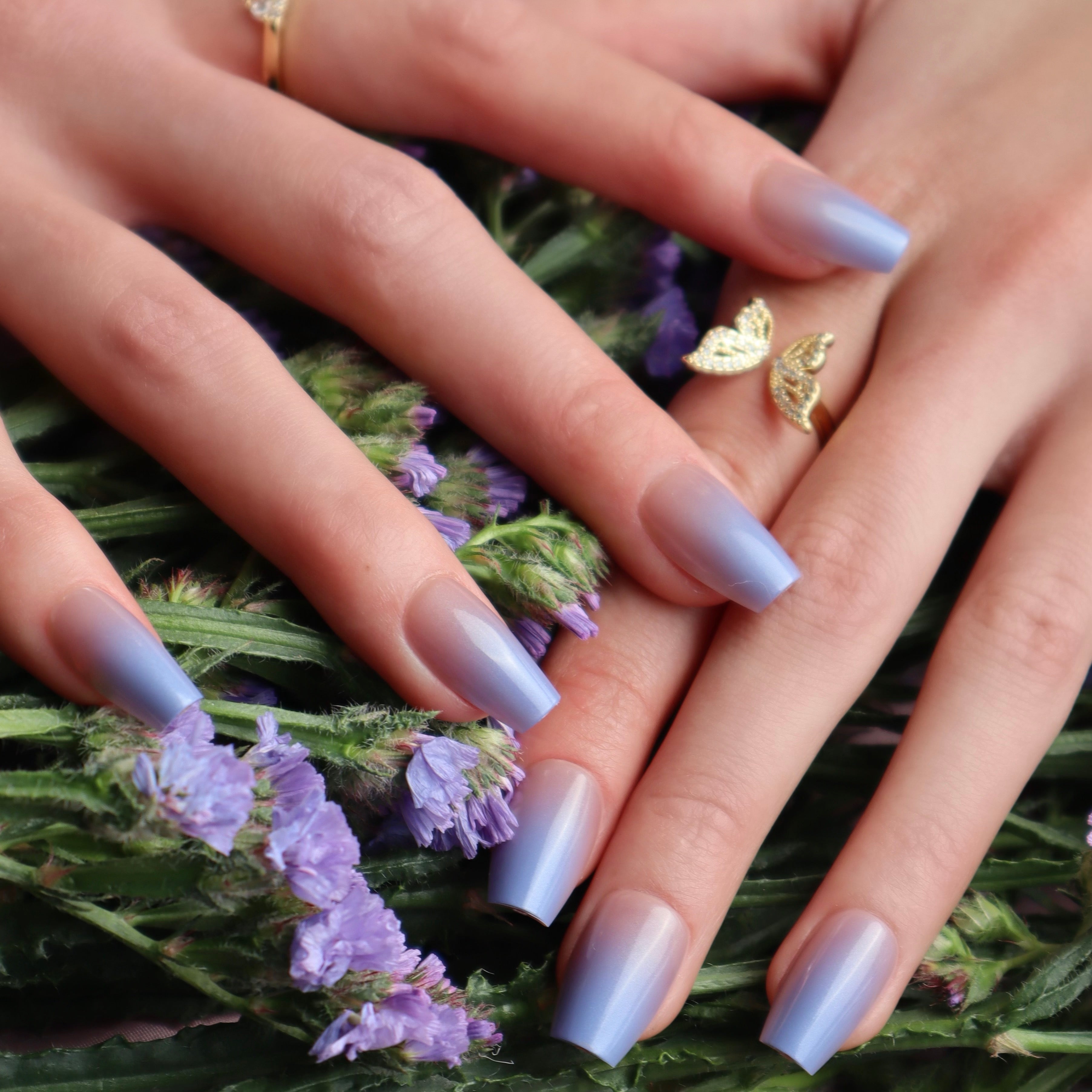 Lavender Haze